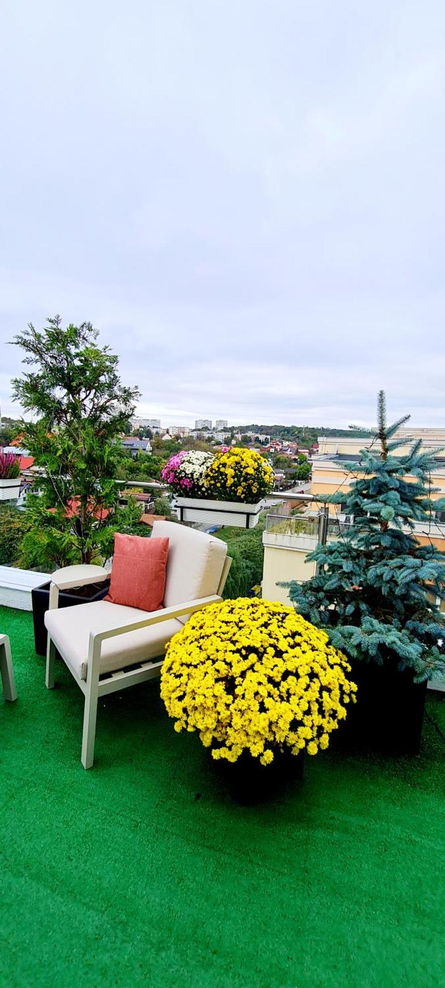 Apartamento Penthouse View Aeroport Iasi Exterior foto